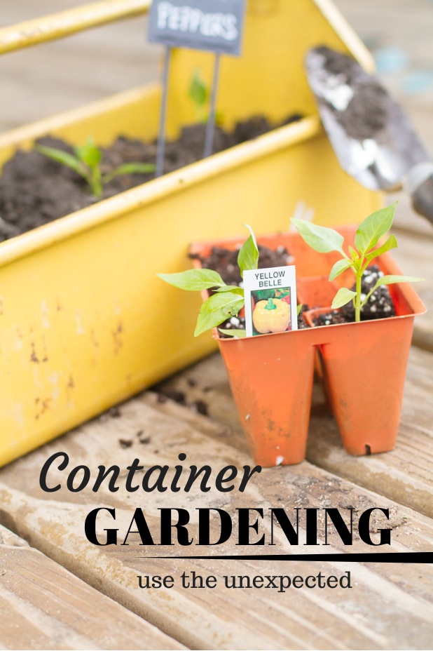 Container Gardening | Use the Unexpected | Use Containers You Already Have | Twitter.com/CCainCabin | pinterest.com/dawncain/ | #ContainerGardening