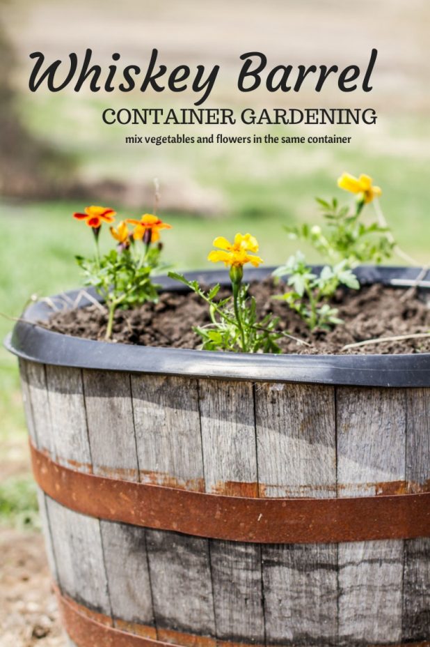Whiskey Barrel Container Garden, Mix Vegetable and Flowers in the Same Container