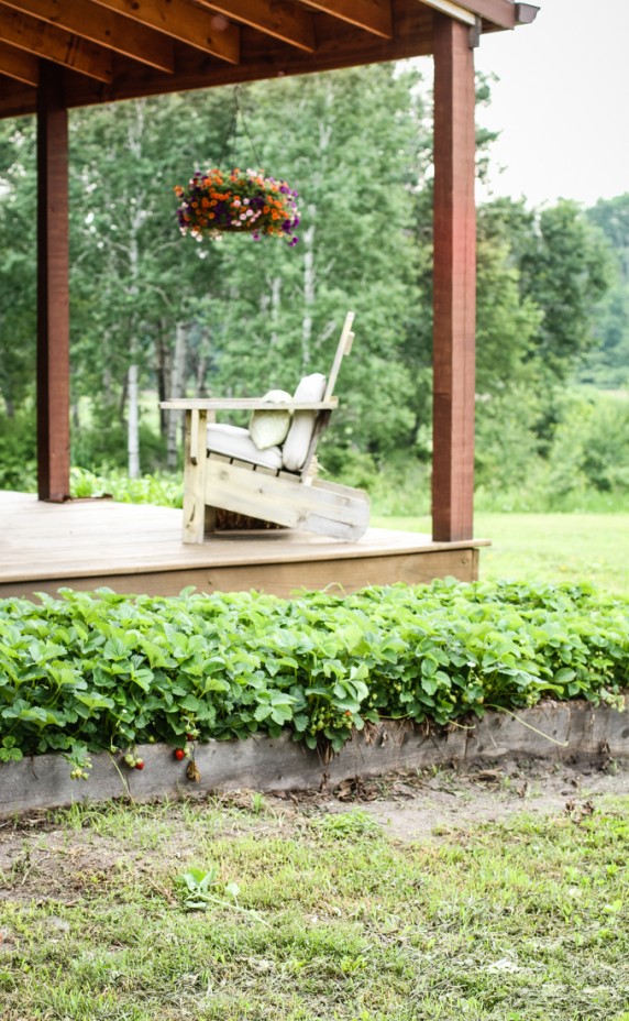 Strawberry Patch | Log Home Porch | Creative Cain Cabin