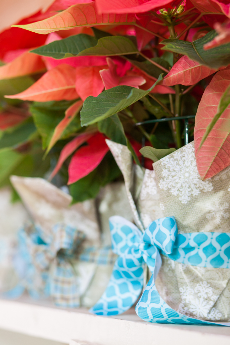 Affordable Hostess Gift Anyone Can Make | All You Need is a Poinsettia Plant, Wrapping Paper, and Ribbon | creativecaincabin.com