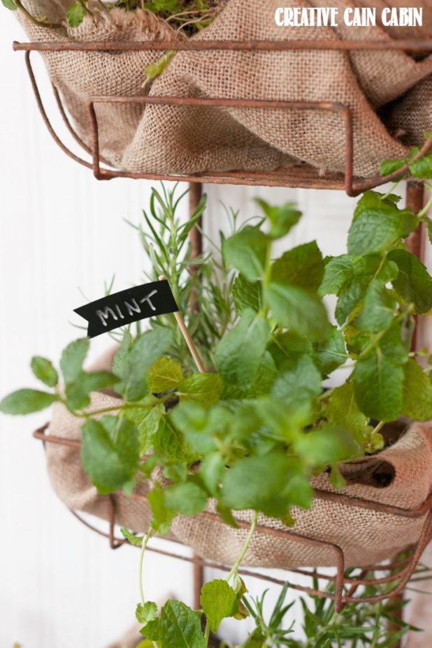 Vertical Herb Garden | Rustic Wall Hanging Basket | Decor Steals | CreativeCainCabin.com