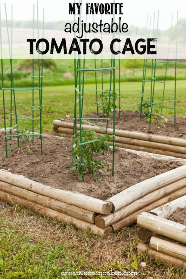 Adjustable Tomato Cage | Vegetable Garden | Raised Bed Garden | Creativecaincabin.com