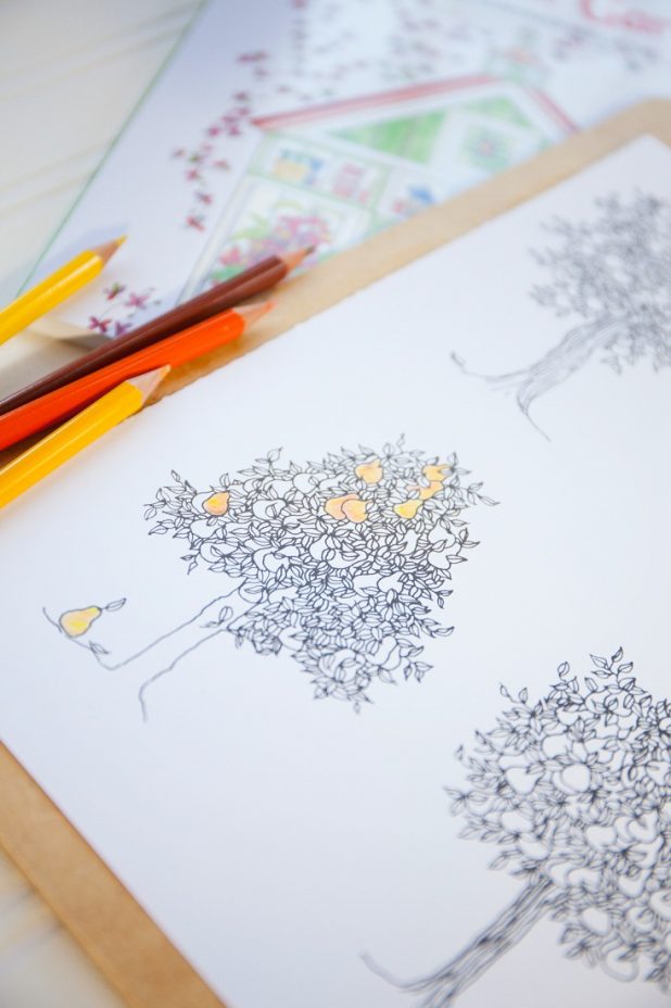 What to look for when picking an adult coloring book
