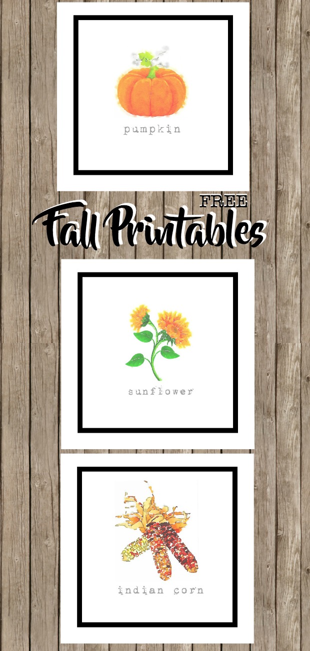 Fall Harvest Printables, Sunflower, Pumpkin, Indian Corn, Watercolors, FREE to Download and Print. Popular Pin!