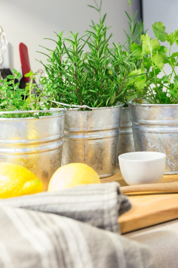 How to Create a Kitchen Herb Garden When Living in a Small Apartment Space