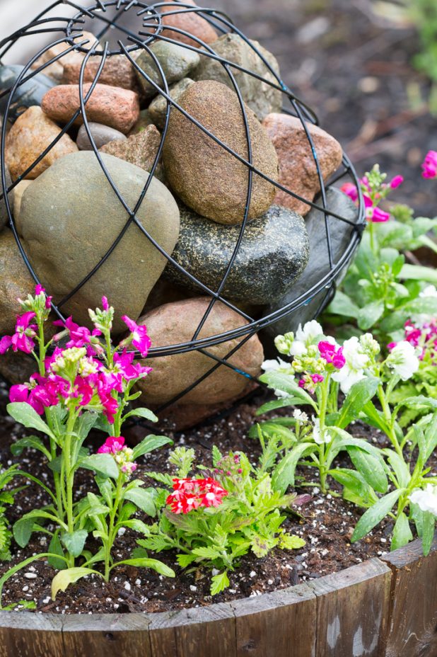 Orb Filled With Field Stone Surrounded With Summer Annuals In A Whiskey Barrel 