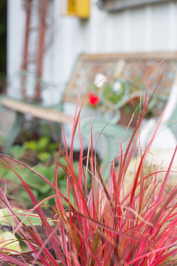 Garden Shed Exterior Decor and Landscaping