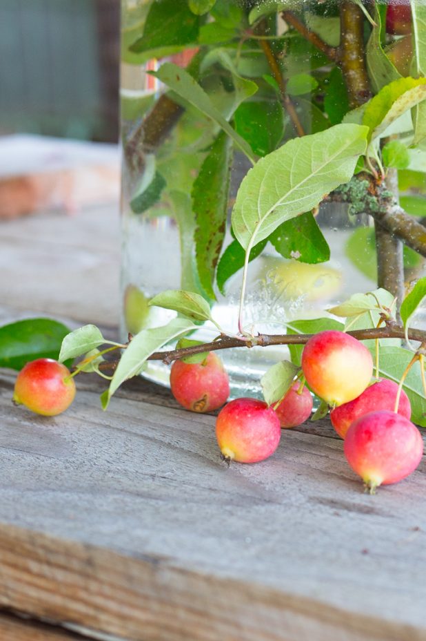 Decorating With Fall Crabapples