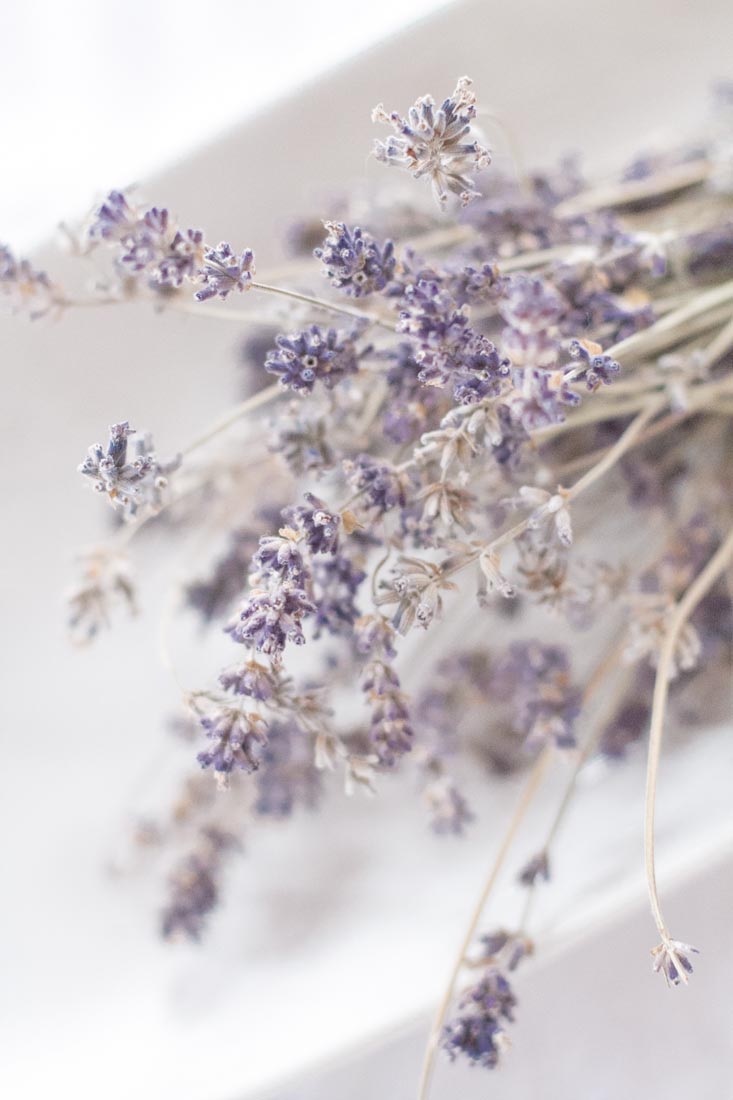 Lavender Vacuum Aromatherapy