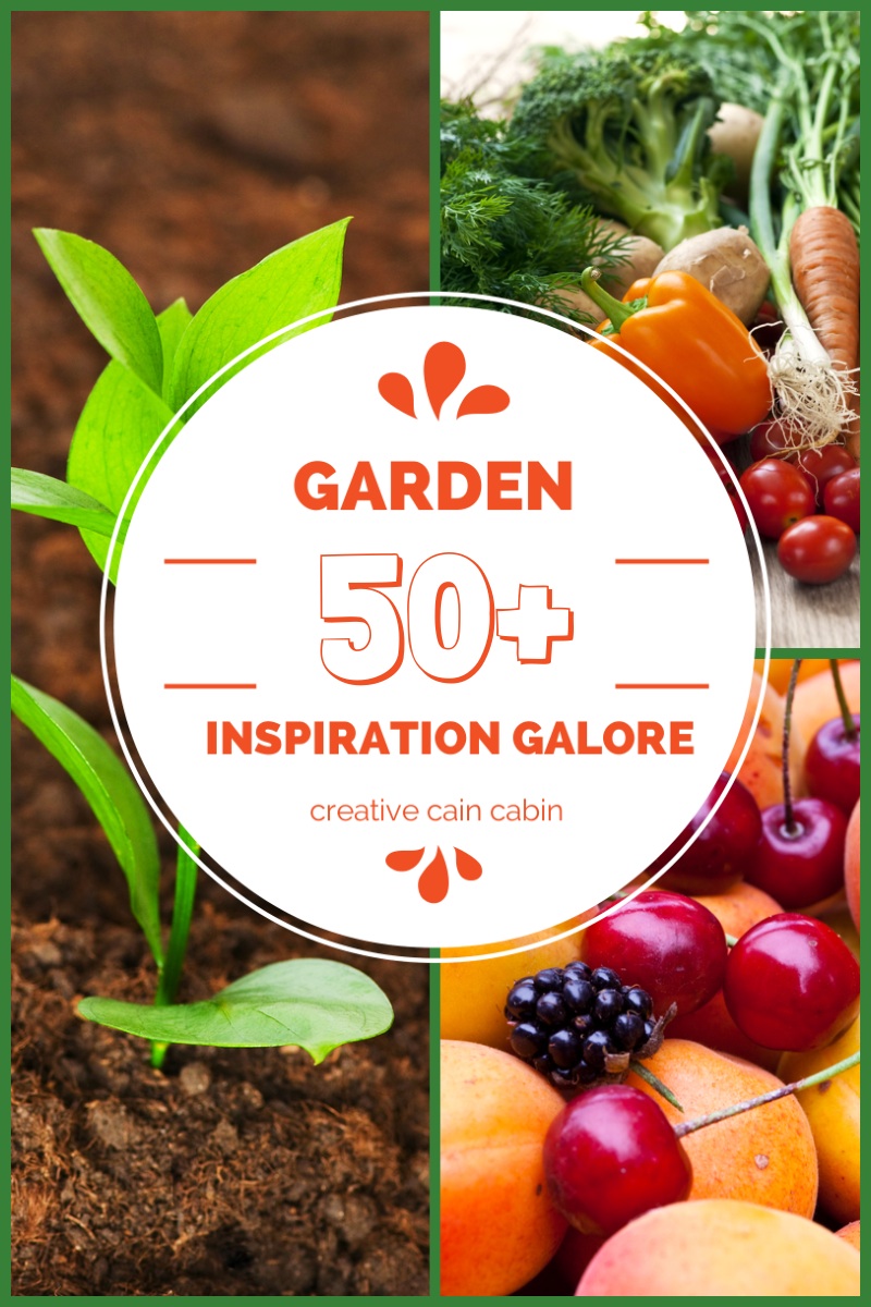 Garden Inspiration Galore