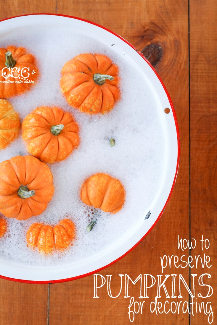 How to Preserve Pumpkins for Decorating