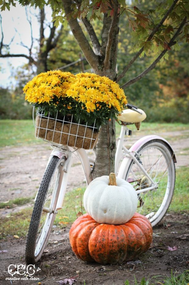 Fall Bike Basket | Creative Cain Cabin