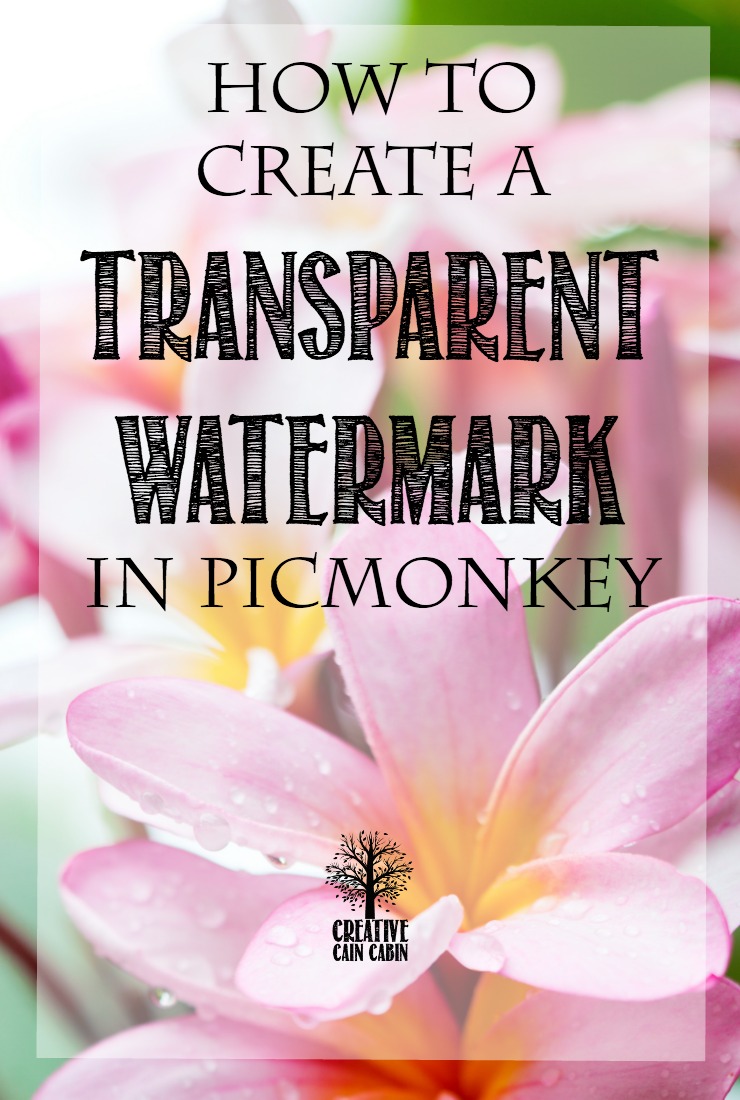 How To Create & Add a Transparent Watermark In PicMonkey