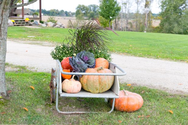 How To Decorate A Garden Cart or Wheelbarrow For Fall Video Tutorial