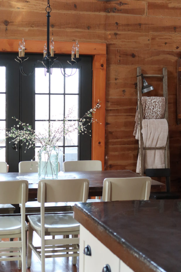 Iron Ore Paint by Sherwin Williams on French Doors in a Log Home