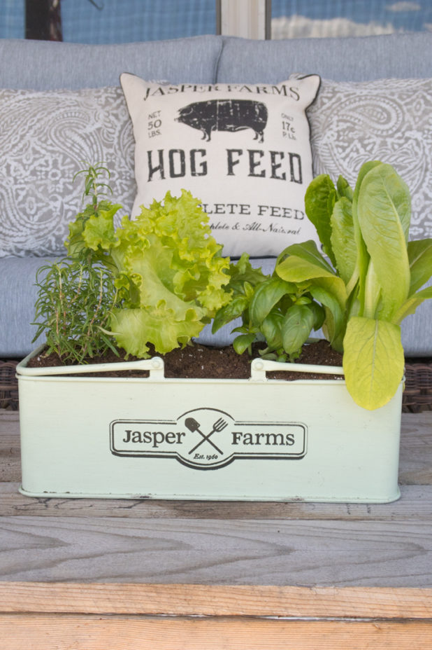 Tractor Supply Farmhouse Porch Finds, Log Home Porch, Farmhouse Pillows, Planting Edibles As Decor, Lettuce and Herbs