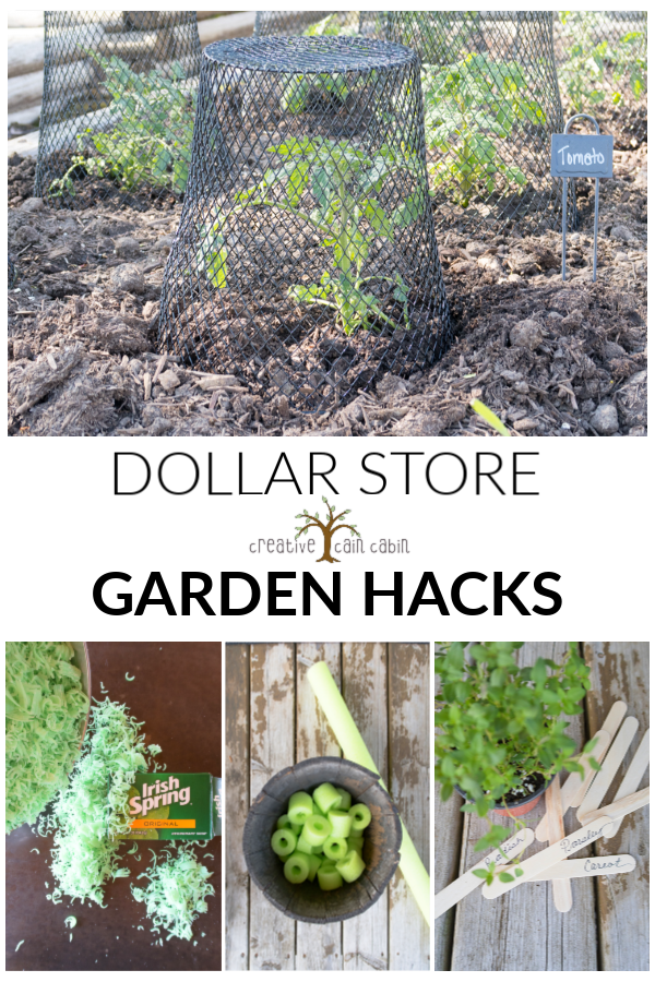 Dollar Store Garden Hacks