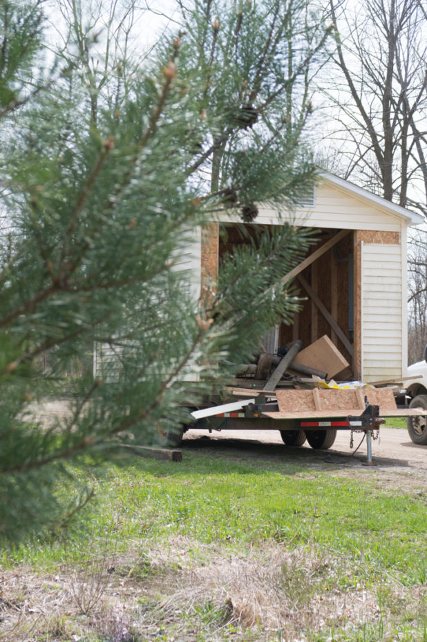 Shed Turned Chicken Coop
