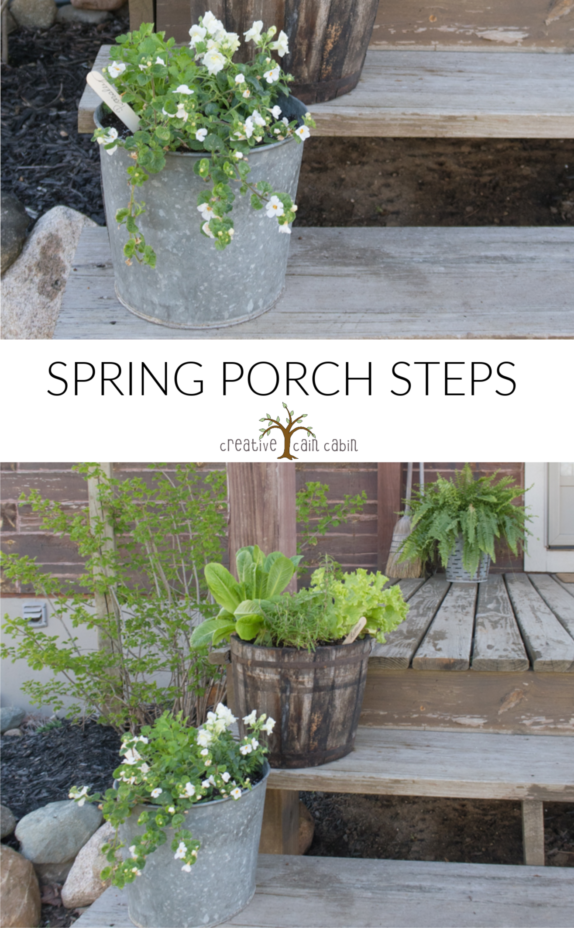 Spring Porch Step, Log Home, Galvanized Bucket, Wooden Bucket, Ferns, Flowers, Herbs, Vegetables