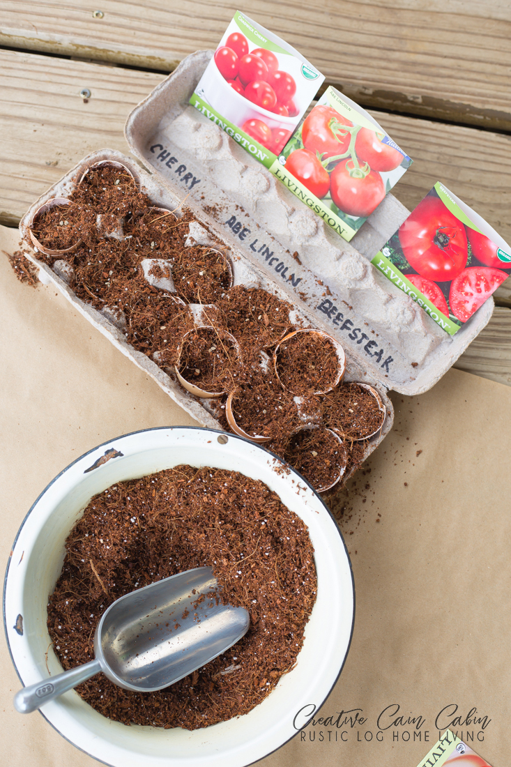 How To Start Seeds In Egg Shells