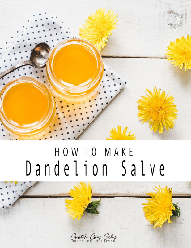 How To Make Dandelion Salve