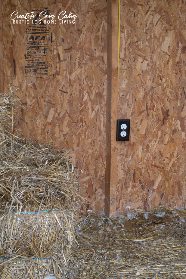 Electric Outlets In Chicken Coop