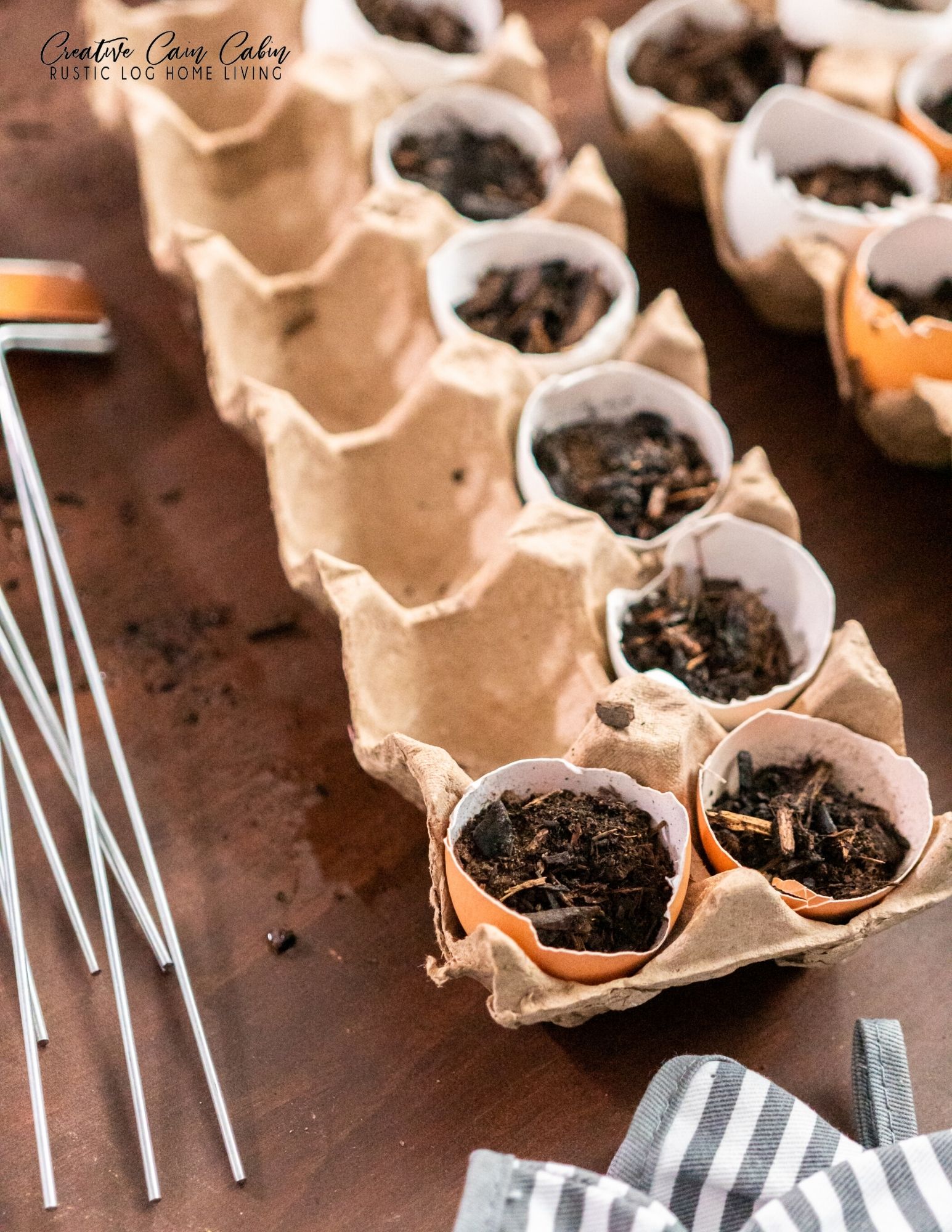 How To Plant Vegetable Seeds Indoors CREATIVE CAIN CABIN