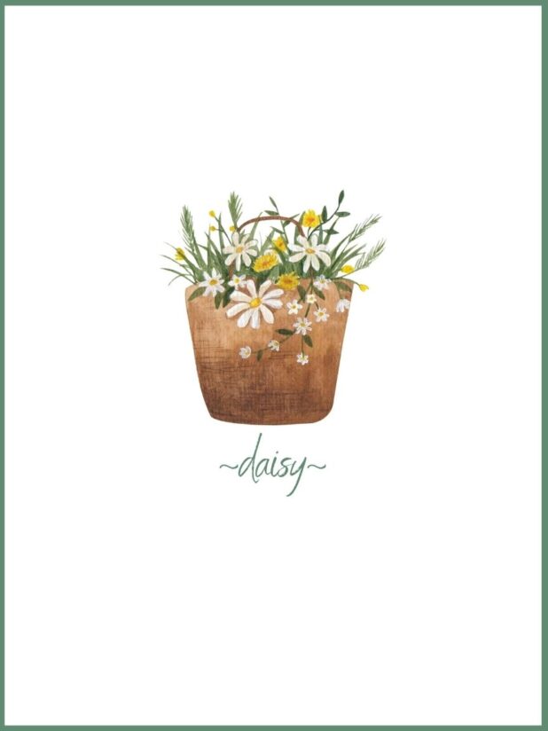 Watercolor Rustic Potted Daisy Flowers