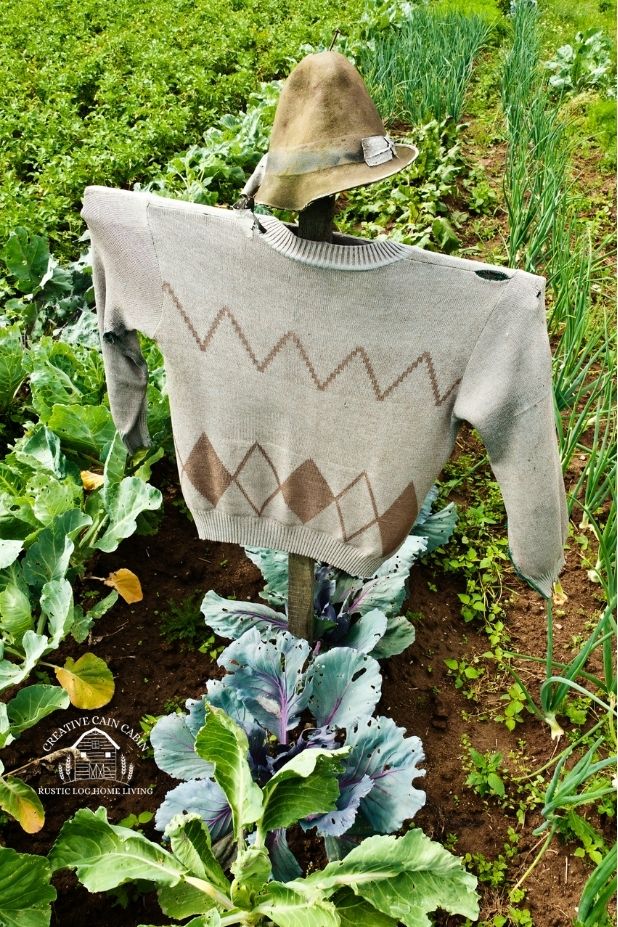 Garden Scarecrow Ideas