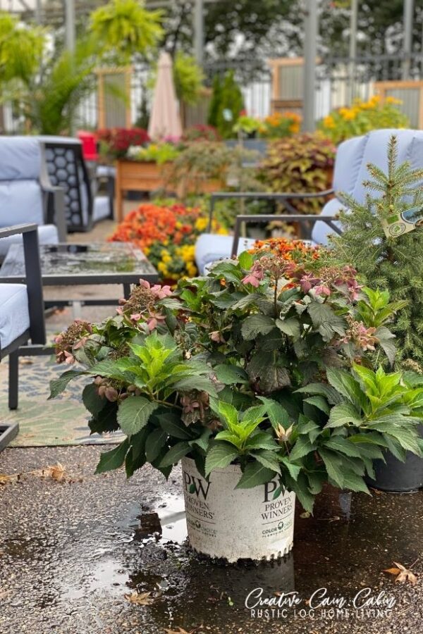 Fall Decorating Ideas and Inspiration For Outside - CREATIVE CAIN CABIN