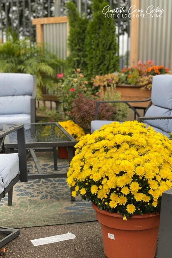 Fall Decorating Ideas and Inspiration For Outside - CREATIVE CAIN CABIN