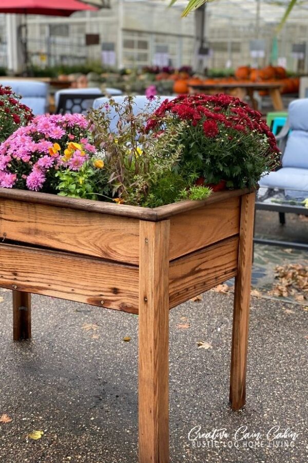 Fall Decorating Ideas and Inspiration For Outside - CREATIVE CAIN CABIN