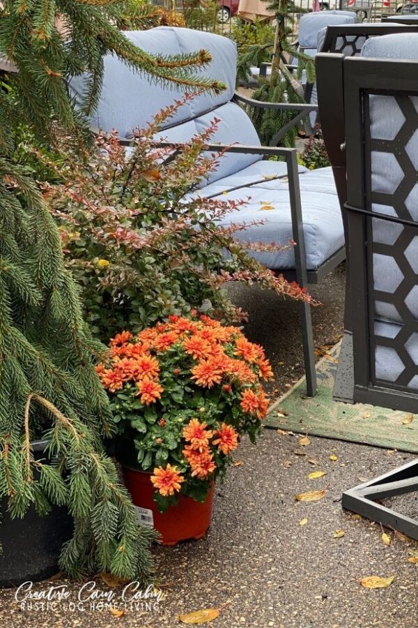 Fall Decorating Ideas and Inspiration For Outside - CREATIVE CAIN CABIN