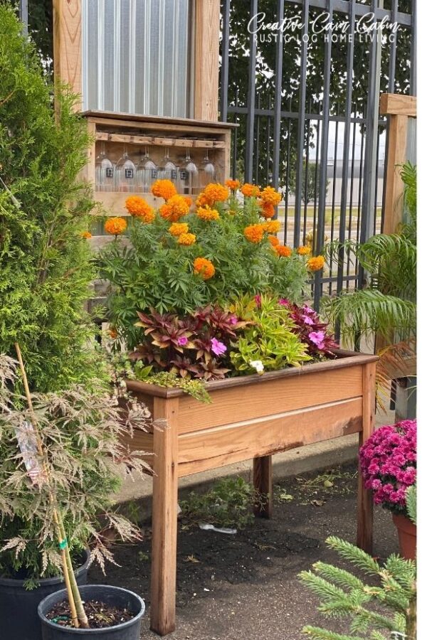 Fall Decorating Ideas and Inspiration For Outside - CREATIVE CAIN CABIN