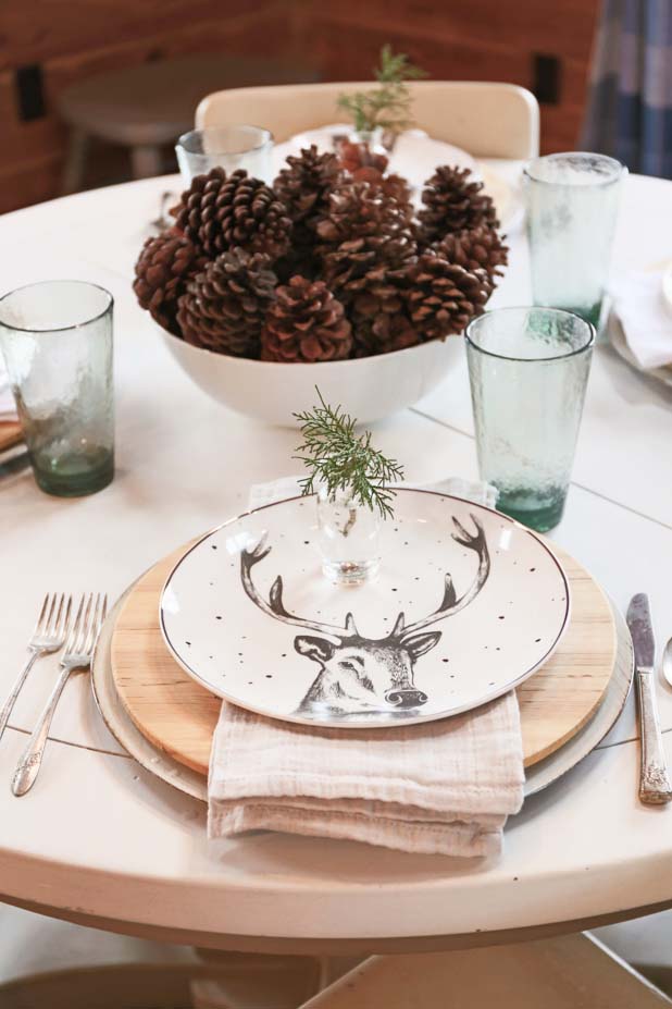 Rustic Winter Table, Deer Plates, Pine Cones, Pine Clippings, Rustic Silver