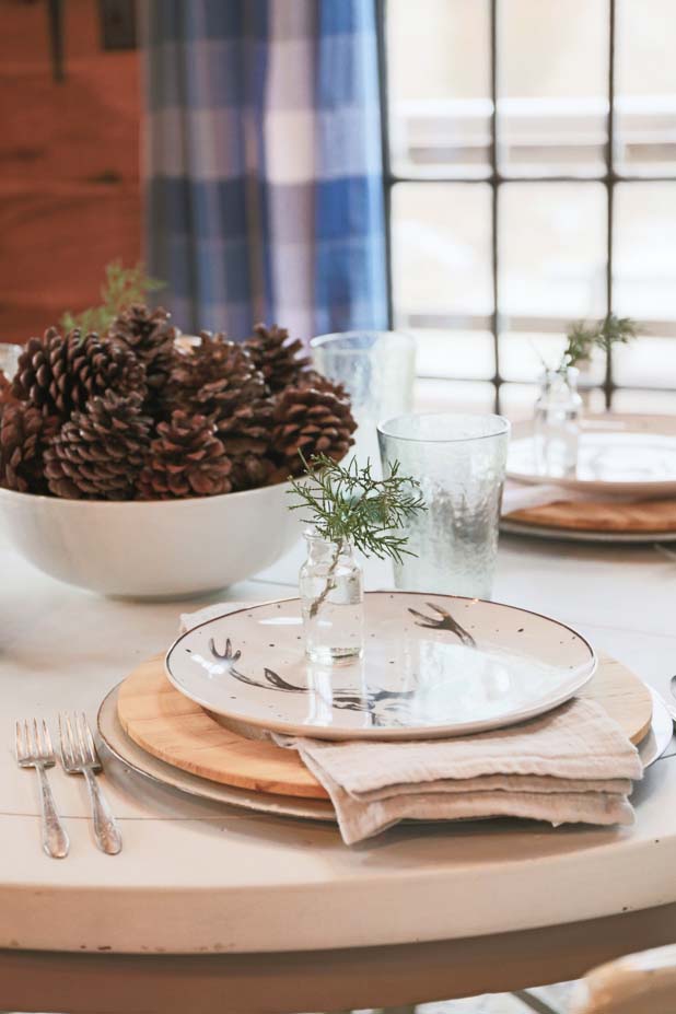 Rustic Winter Table, Deer Plates, Pine Cones, Pine Clippings, Rustic Silver