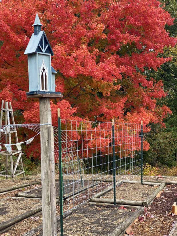 Fall Color, Raised Bed Garden, Bird House, Garden Trellis, Garden Bunting