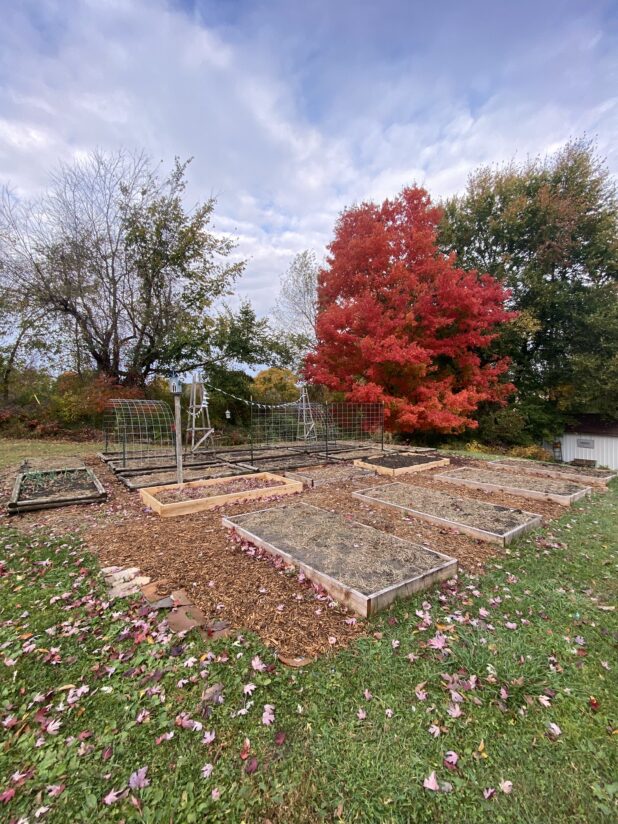 Fall Color, Raised Bed Garden, Bird House, Garden Trellis, Garden Bunting