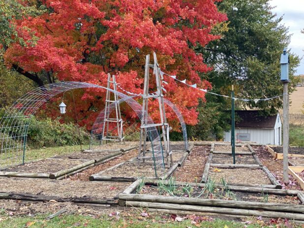 Fall Color, Raised Bed Garden, Bird House, Garden Trellis, Garden Bunting,