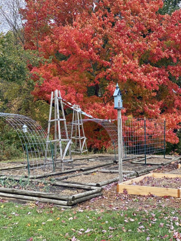 Fall Color, Raised Bed Garden, Bird House, Garden Trellis, Garden Bunting