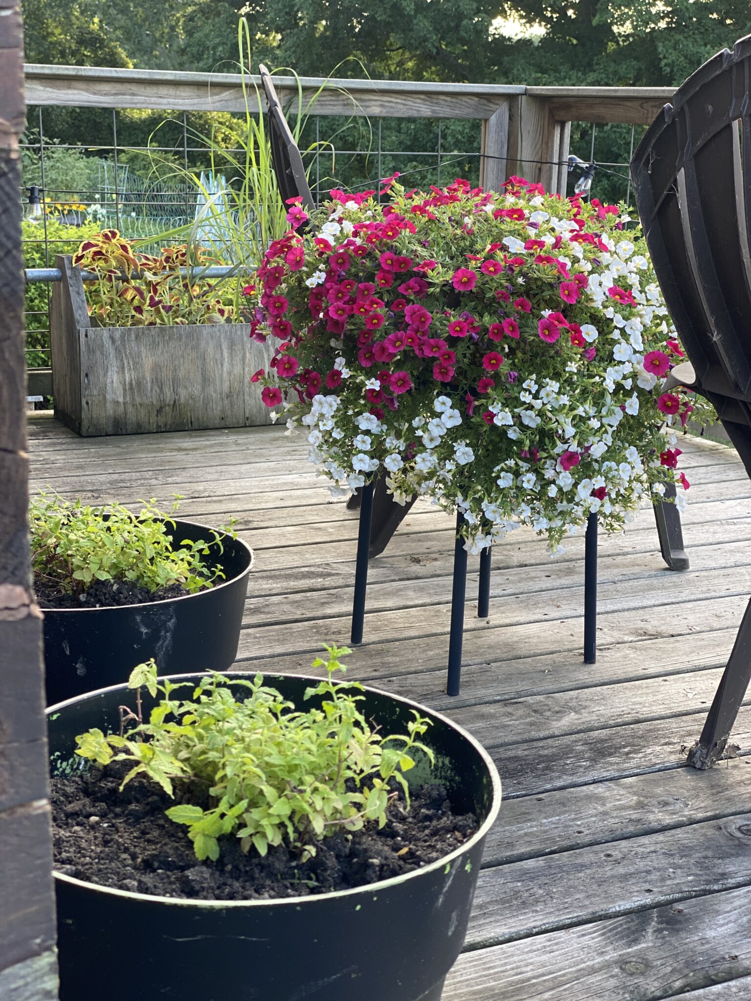 Spring Planter Inflation HOW TO CREATE SPRING PLANTERS WITHOUT PURCHASING SOIL OR PLANTERS ...